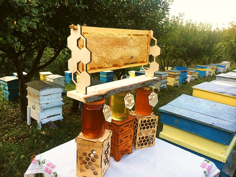 70138409 2519615784927169 3098088836933091328 o 768x576