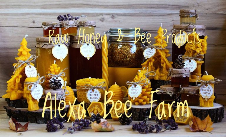 70638229 2519614478260633 3082407456068861952 o 768x467