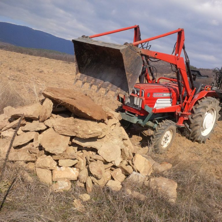 IMG 20200216 124346 768x768