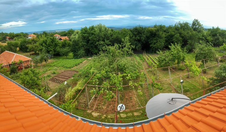 Нашата градина 2020 Нашата градина 2020