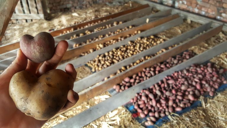 20201006 105259 01 768x432