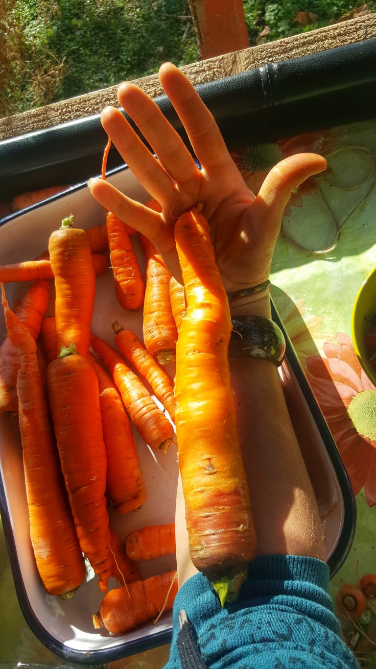 20201022 102532 01 768x1365