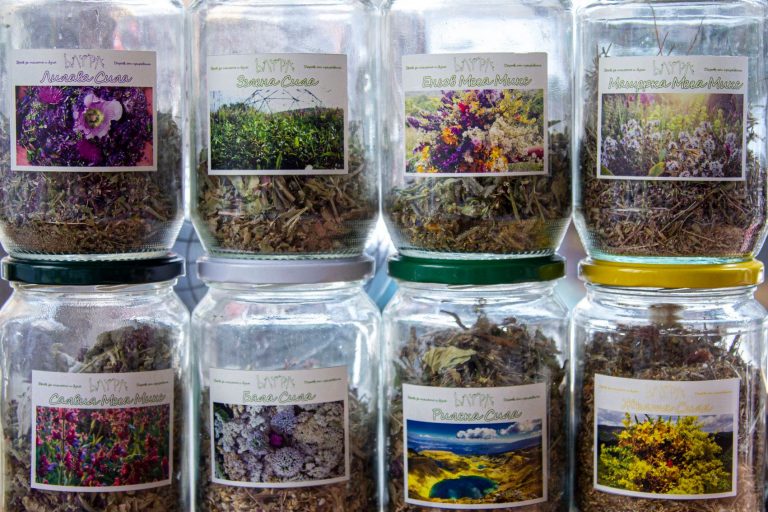 91484257 1113985772276782 5397674104566317056 o 768x512