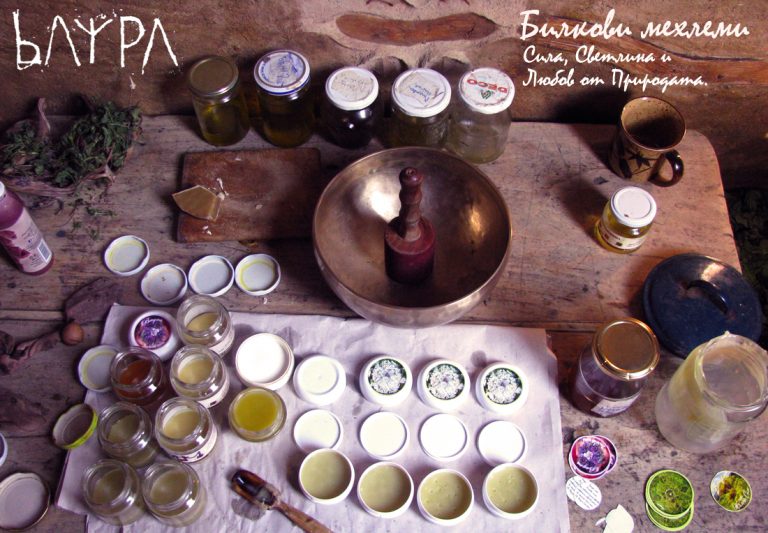 Първата работилница 2015г.