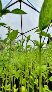 01F6DB36 FD4F 4F48 8463 F13B13A4F813 169x300