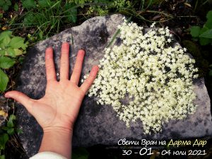 20200601 100831 300x225