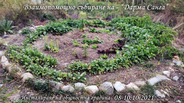 242197216 142356108099155 5777504909235794939 n 768x432