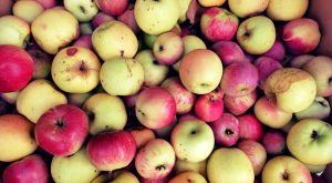 242713785 243912701002315 4908195431728184352 n 1 300x165