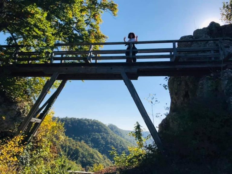 8edbe3cf a30a 473d 8f04 b8355efb8382 768x576