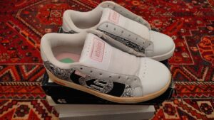 267376851 3741345789423869 8871403042400395421 n 300x169