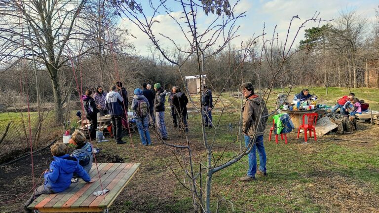 20210313 154035 768x432