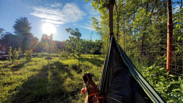 20210521 192757 768x432