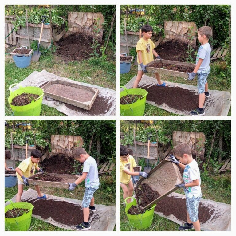 20210702 204517 collage 768x768