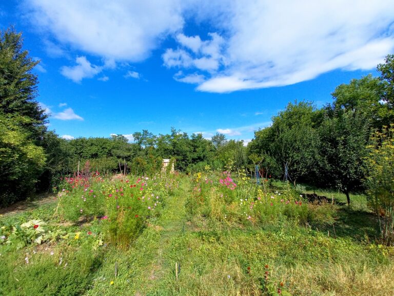 20210902 111300 768x576