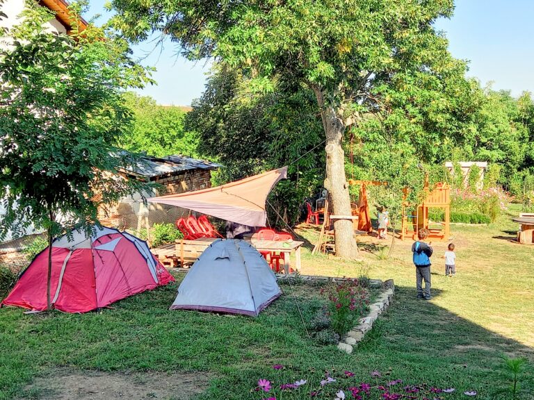 20210912 100258 768x576