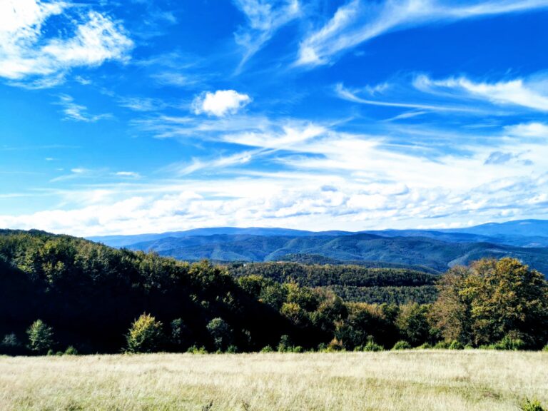 img 535ca28f3e57ff675aa877c17d3a7975 v2 768x576