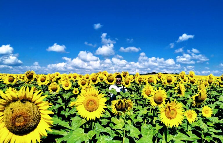 img 9f5150fd6fde0ed8ca95605c842b5633 v2 768x492