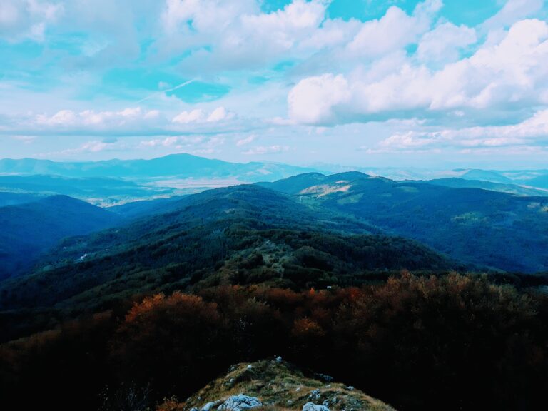 img 20201011 1622548103 768x576