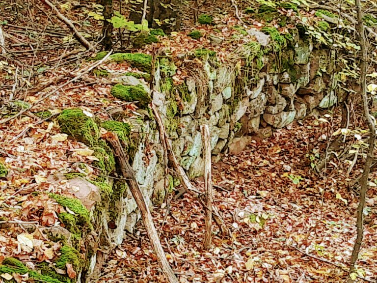 img 20201028 0934066642 768x576