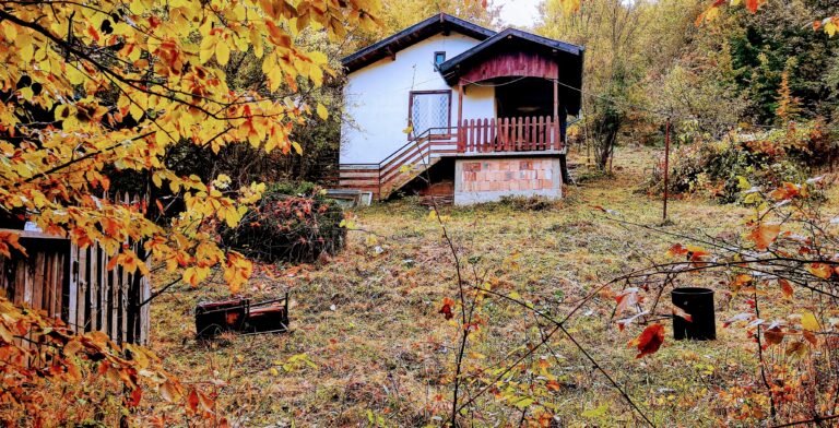 img 20201028 0937245634 768x392