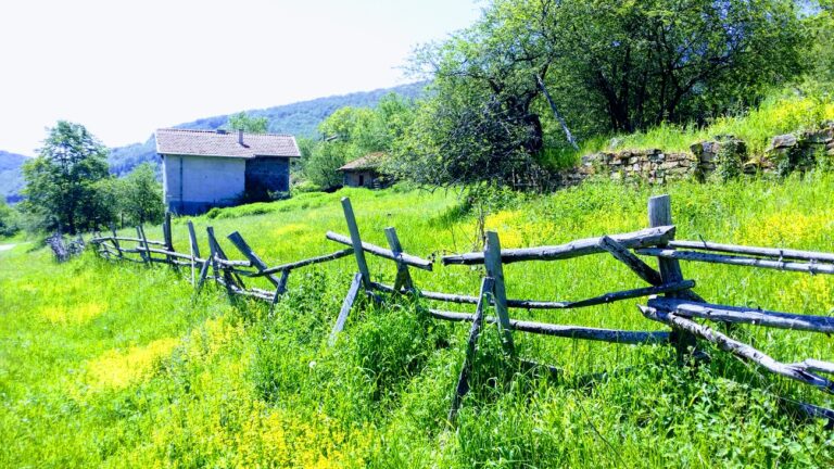 razgraden dvor2 768x432