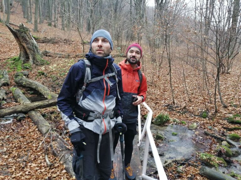 photo 2021 11 19 21 05 20 768x576