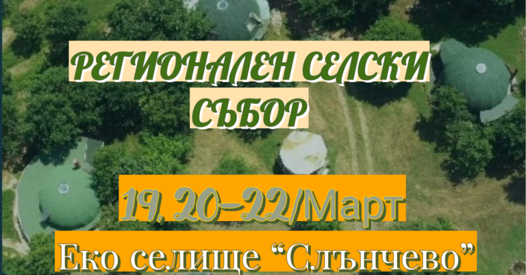 cc express 20220314 1252450.6428107379752863 768x402