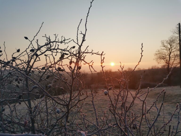 img 20220309 065618 768x576