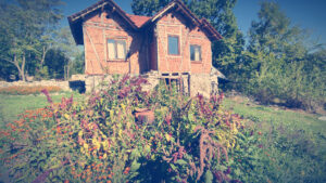 img 20211002 104938 300x169