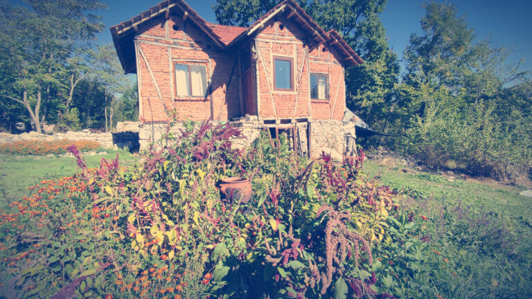 img 20211002 104938 768x432