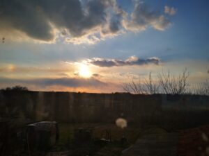 img 20220318 172932 300x225