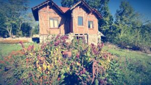 fb img 1693572764610 300x169