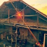 Профилна снимка